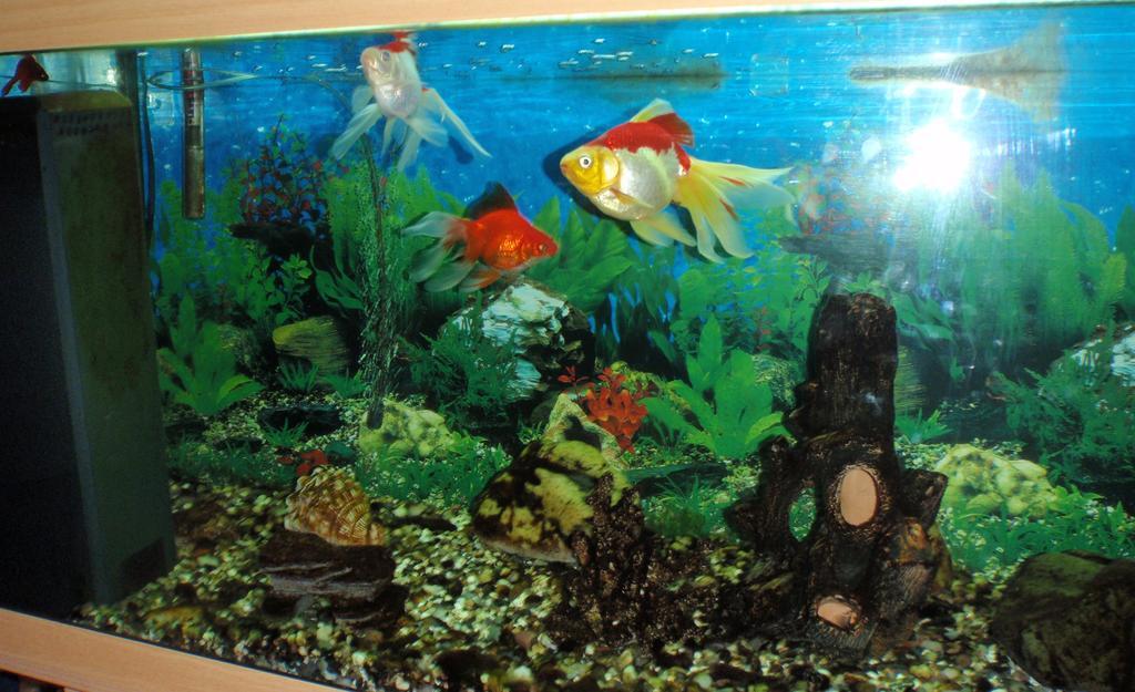 Hotel Fit Fun Harrachov Ngoại thất bức ảnh